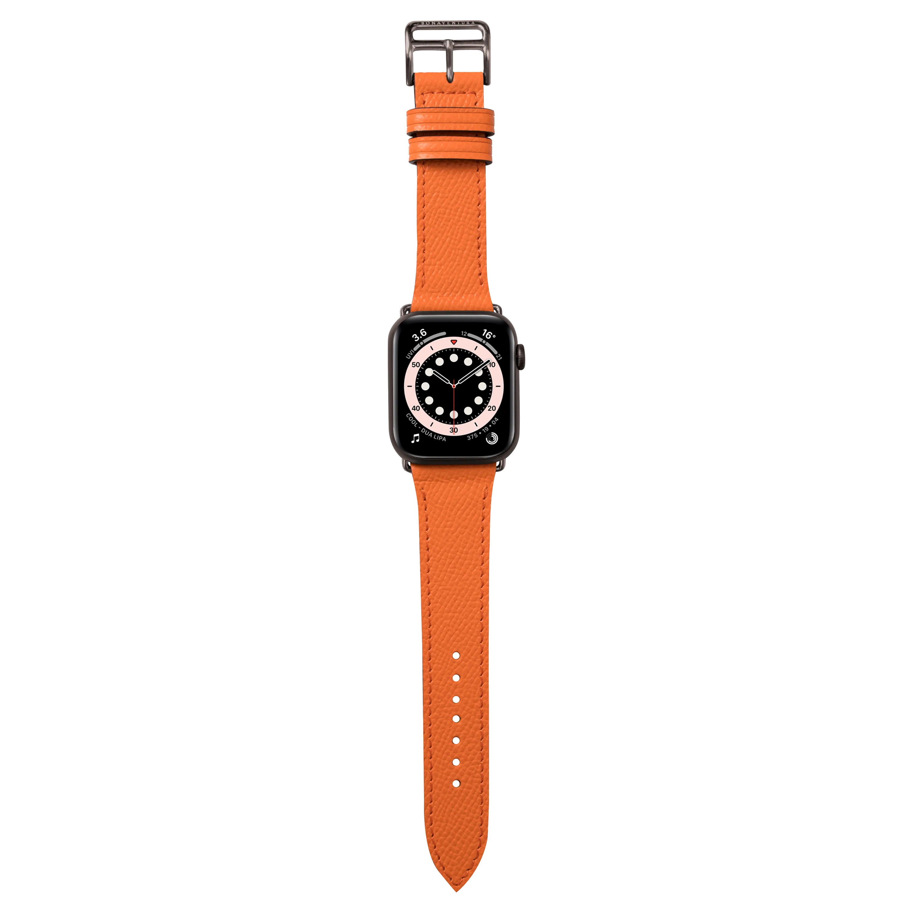 Apple Watch Band (41 mm)